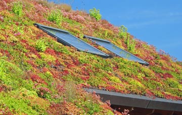 Sutton At Hone living roof systems