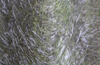 Sutton At Hone fibreglass roof work